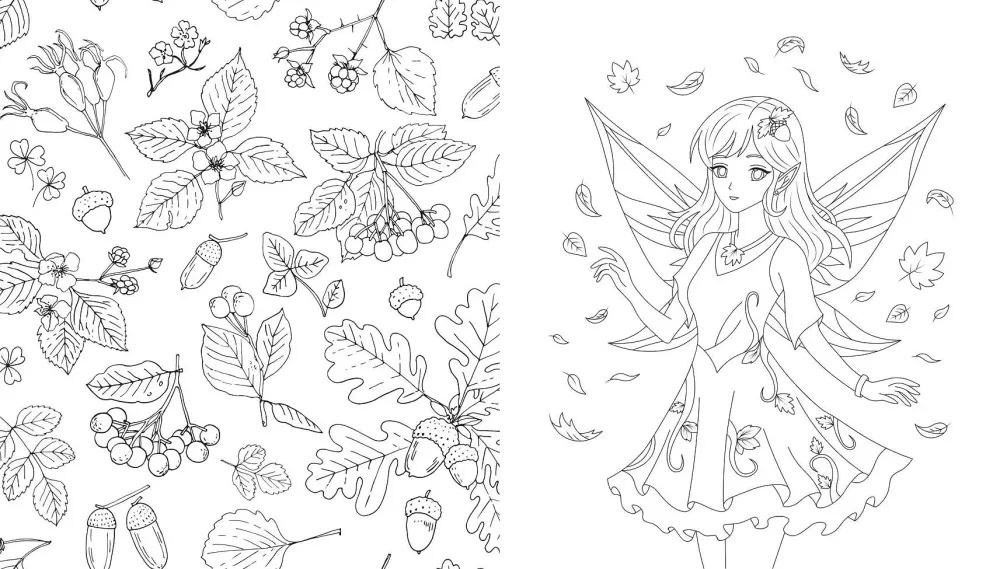 Fairies of the Autumn Forest. Coloring Book