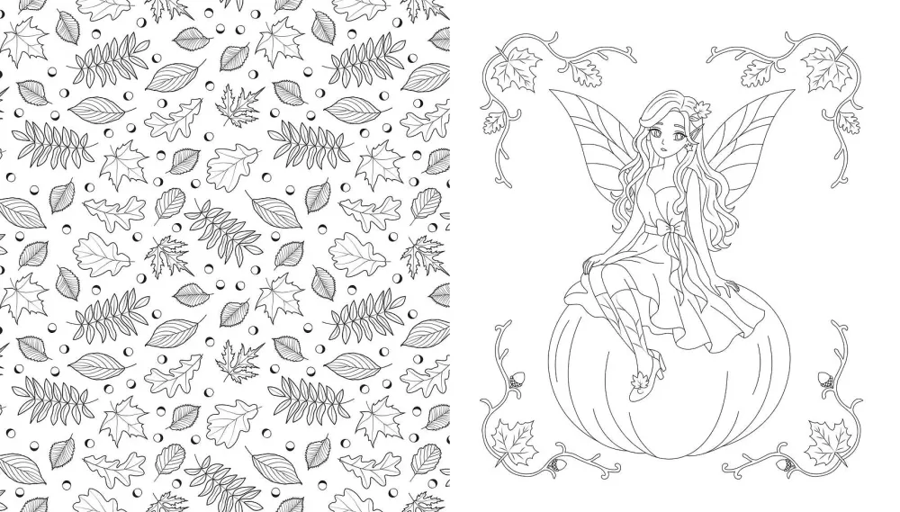 Fairies of the Autumn Forest. Coloring Book