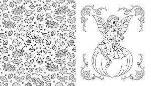 Fairies of the Autumn Forest. Coloring Book