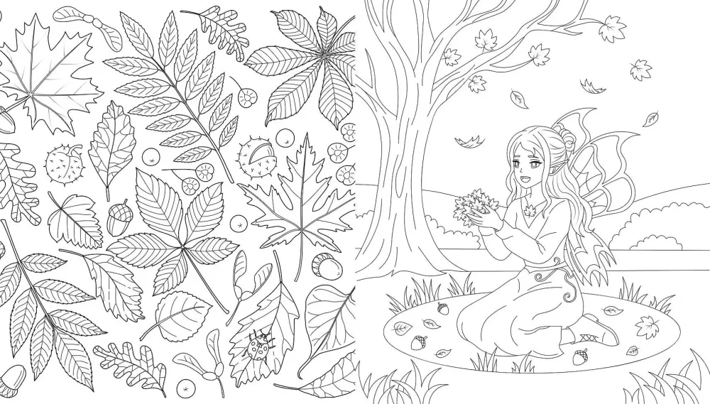 Fairies of the Autumn Forest. Coloring Book