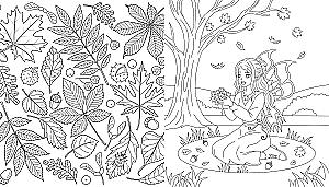 Fairies of the Autumn Forest. Coloring Book