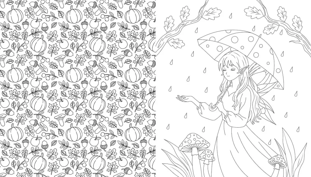 Fairies of the Autumn Forest. Coloring Book