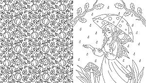 Fairies of the Autumn Forest. Coloring Book