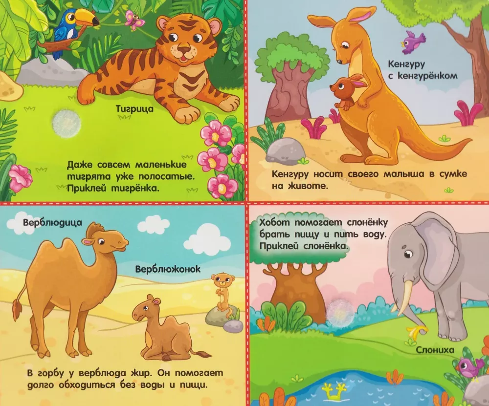 Moms and Babies. A Book with Velcro
