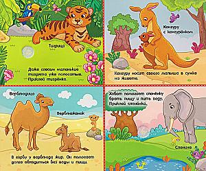 Moms and Babies. A Book with Velcro