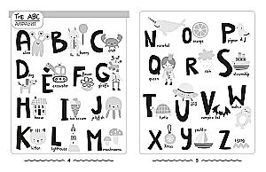The Best Guide to the 4 Main Subjects of Elementary School. A Set of 4 Books in a Box