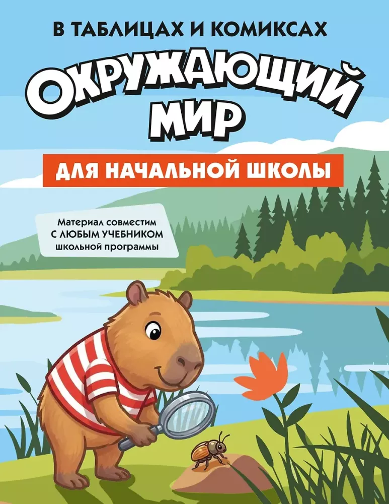 The Best Guide to the 4 Main Subjects of Elementary School. A Set of 4 Books in a Box