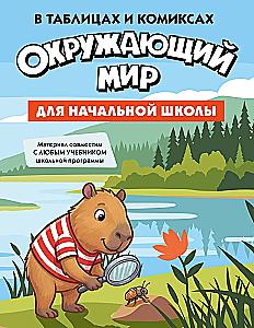 The Best Guide to the 4 Main Subjects of Elementary School. A Set of 4 Books in a Box