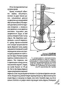 About the Guitar and the Secrets of Longevity