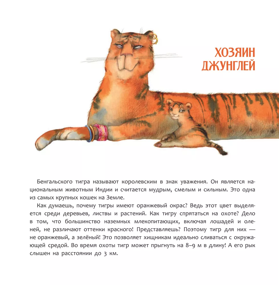 Индия. Страна мудрецов