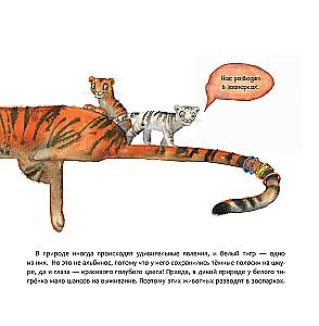 Индия. Страна мудрецов