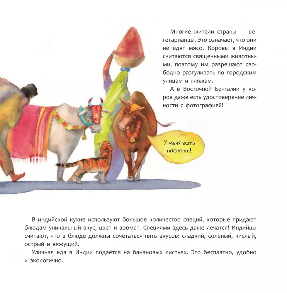 Индия. Страна мудрецов