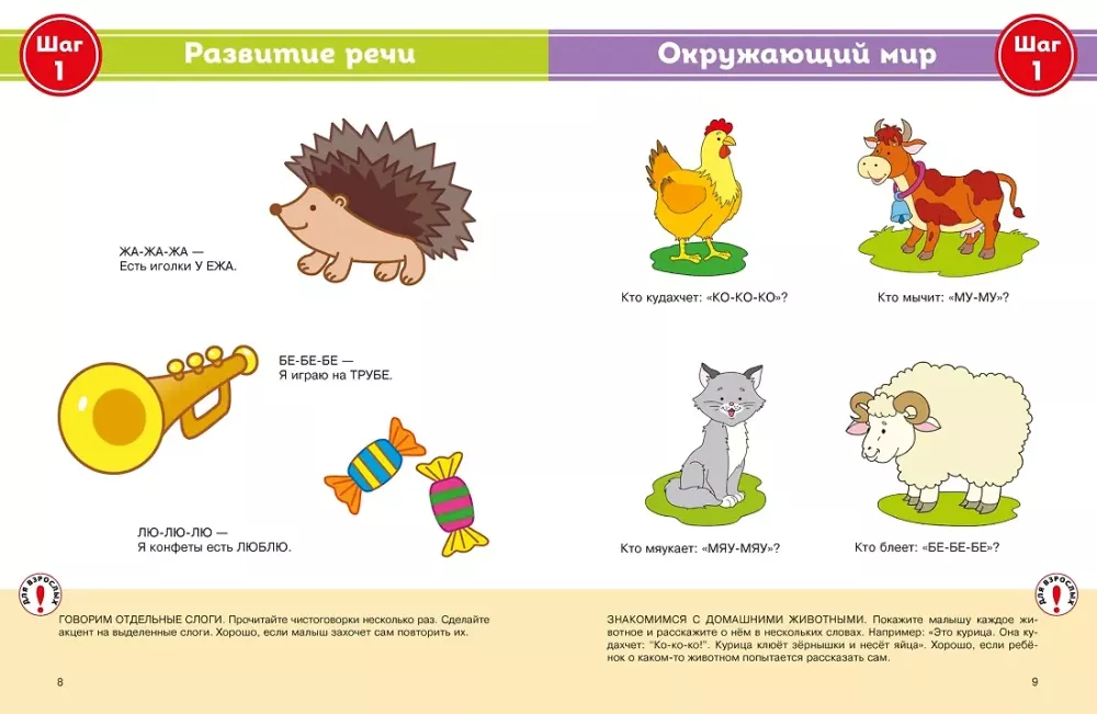 Complete Yearly Course of Classes for Children