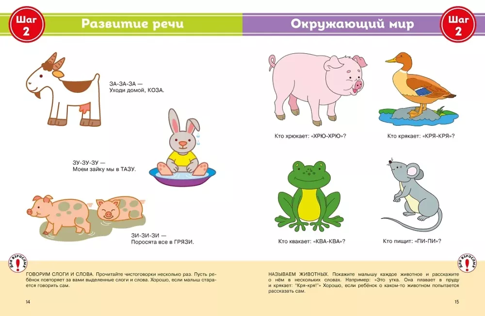 Complete Yearly Course of Classes for Children