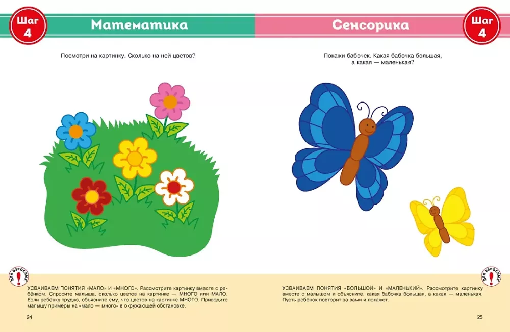 Complete Yearly Course of Classes for Children