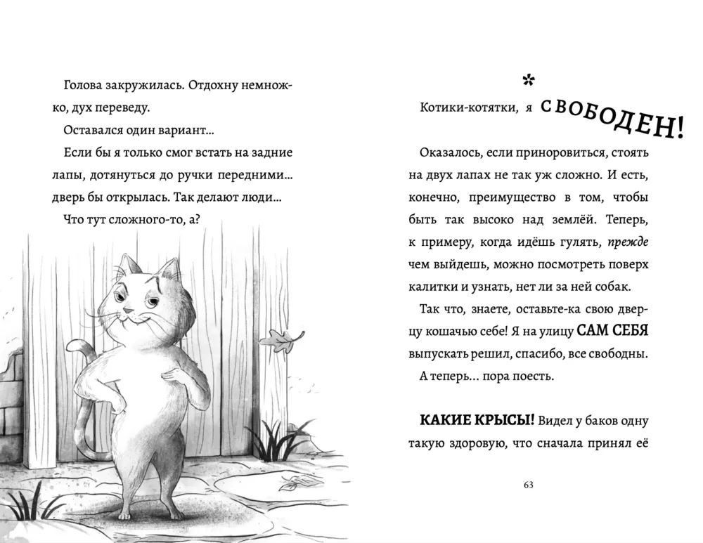 The Diary of the Cat in Boots