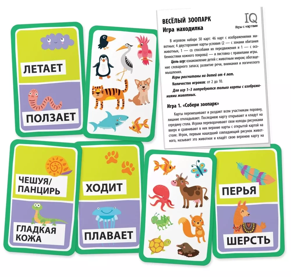 IQ Card Games. Fun Zoo