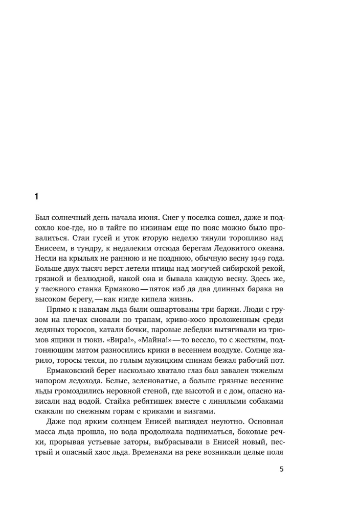 Ewige Permafrost — Foto 3