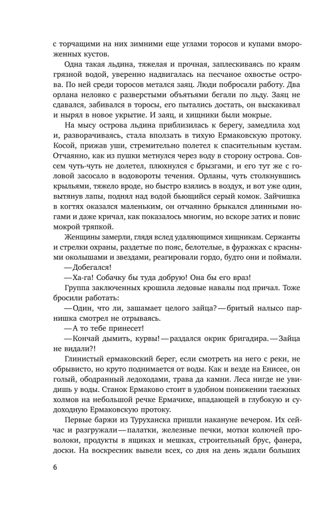 Ewige Permafrost — Foto 4