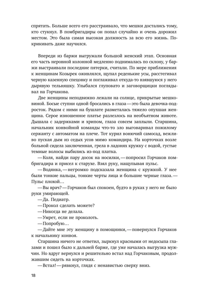 Ewige Permafrost — Foto 16