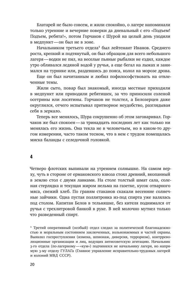 Ewige Permafrost — Foto 18