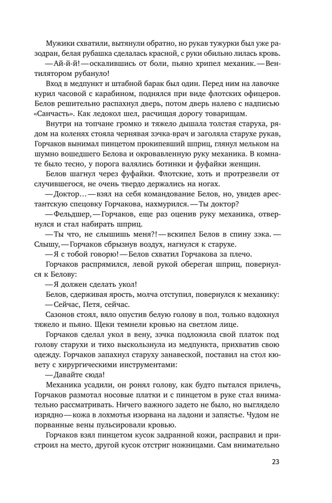 Ewige Permafrost — Foto 21