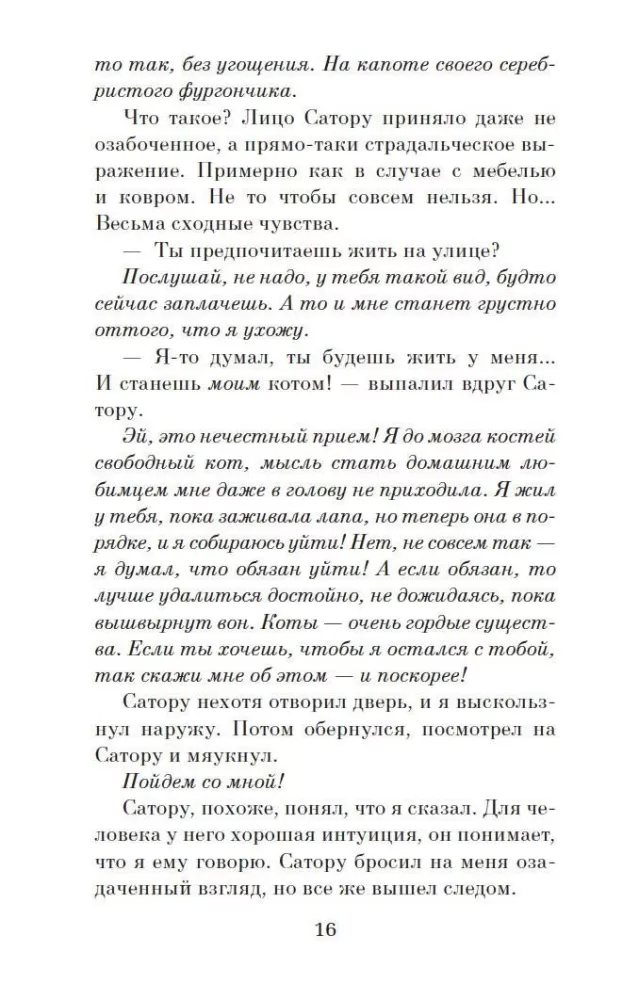 Kroniki wędrującego kota — zdjęcie 13