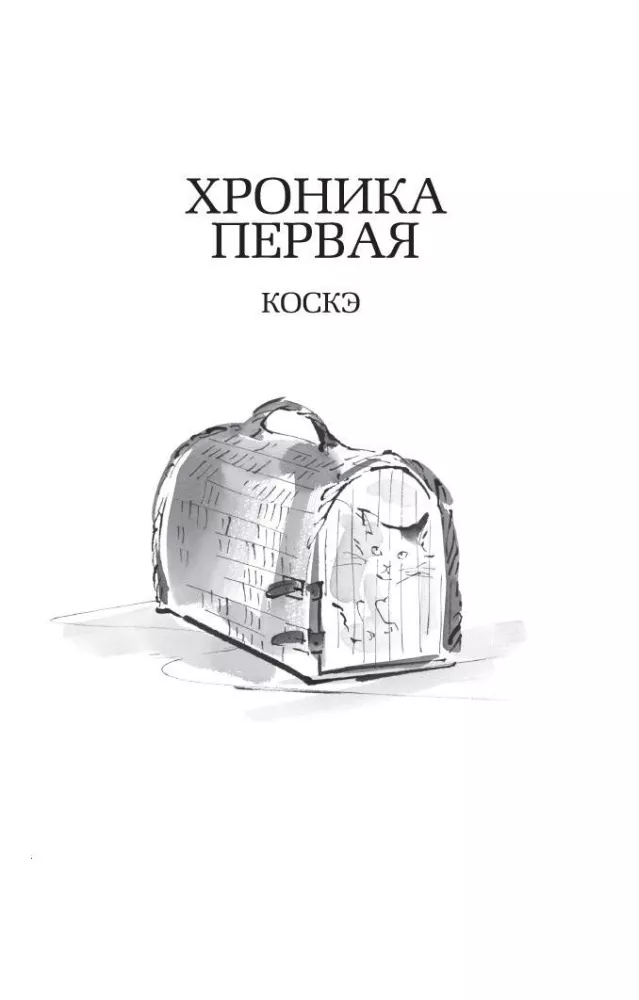 Kroniki wędrującego kota — zdjęcie 18