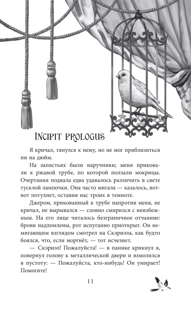 Песнь Сорокопута