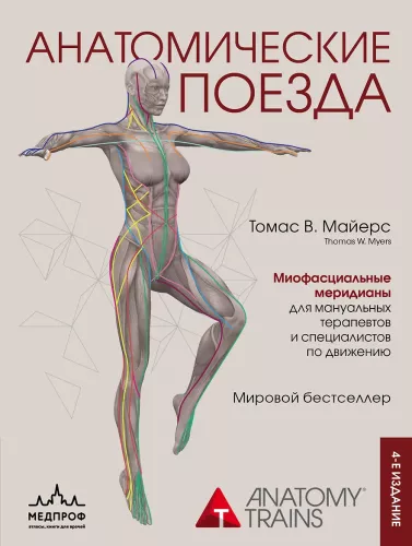 Anatomiskie vilcieni