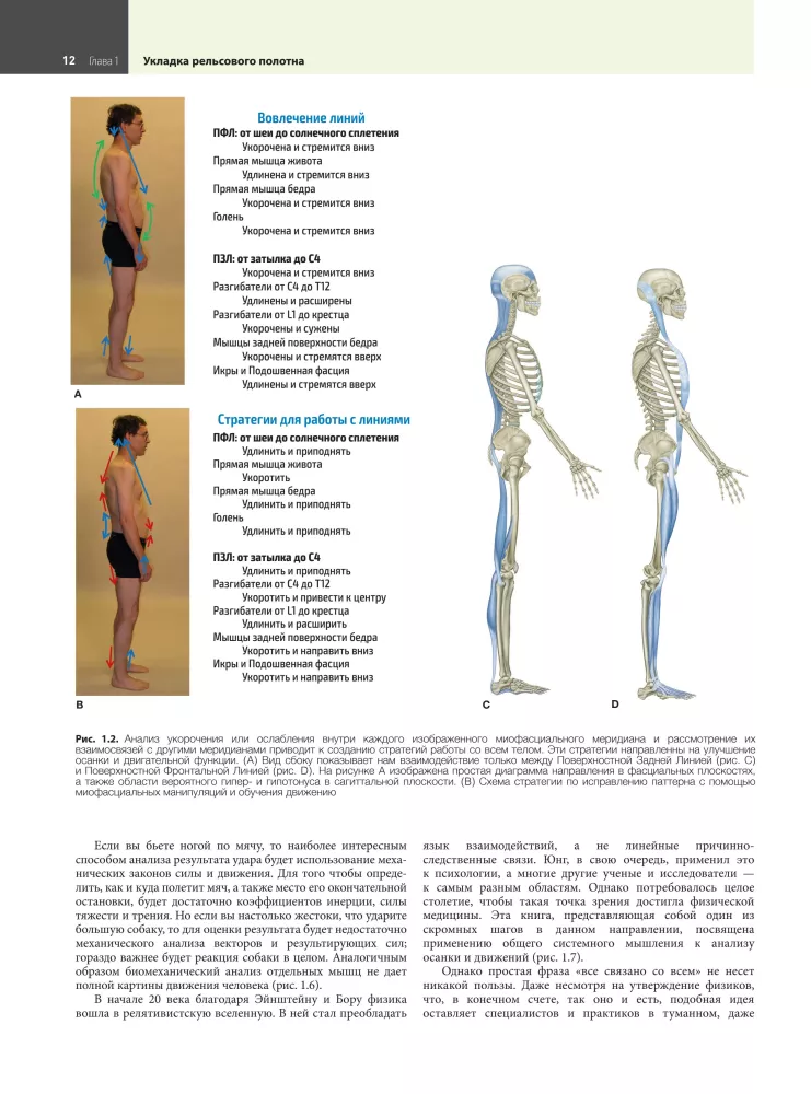 Anatomiczne pociągi — zdjęcie 10