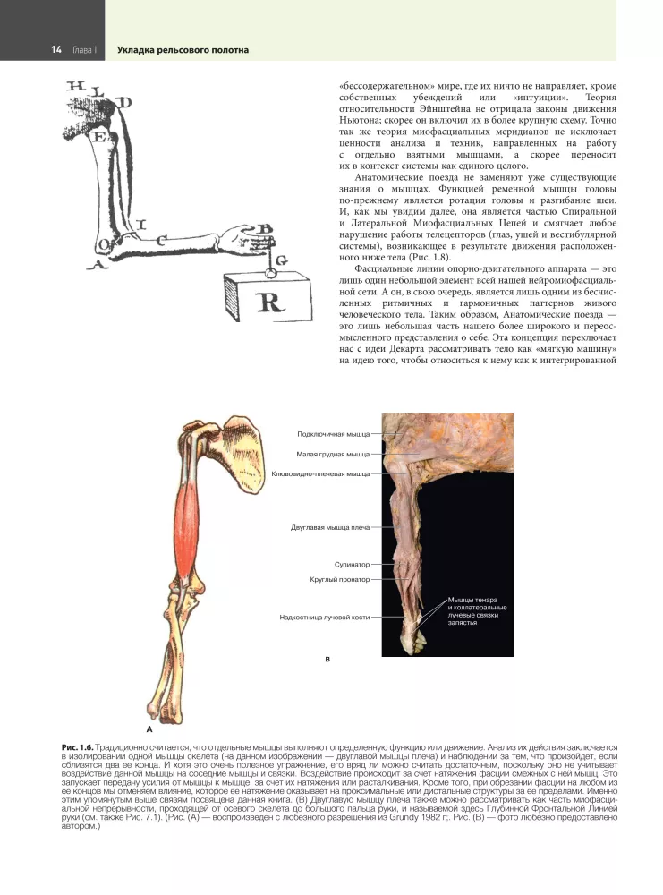 Anatomiczne pociągi — zdjęcie 12