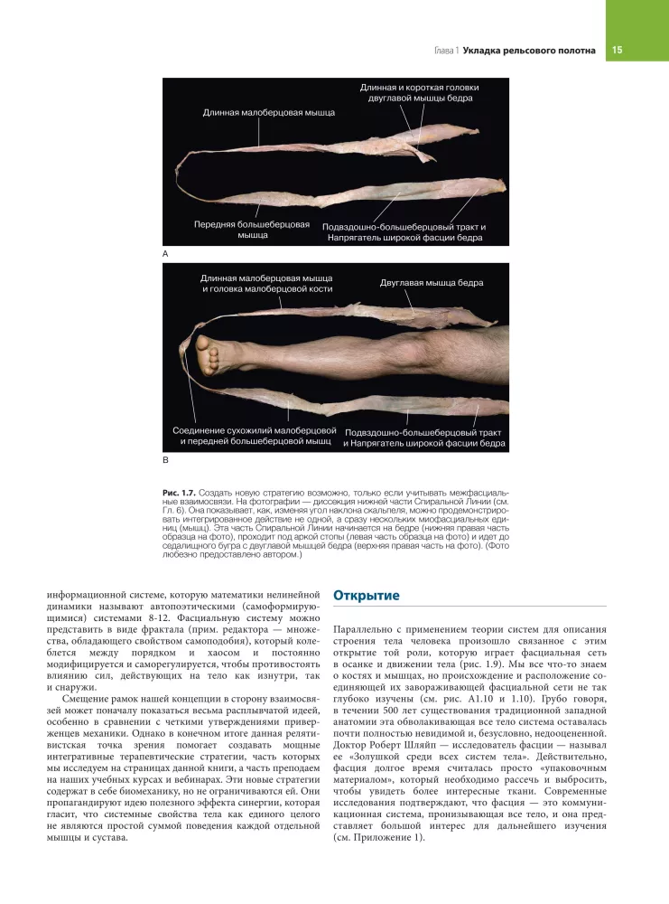 Anatomiczne pociągi — zdjęcie 13