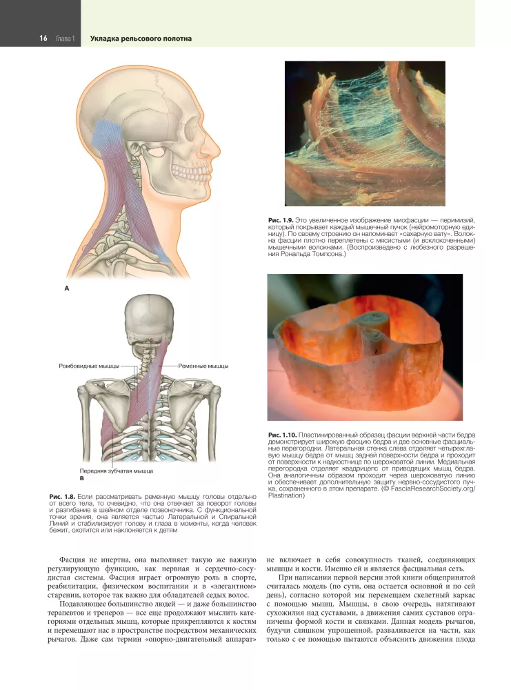 Anatomiczne pociągi — zdjęcie 14