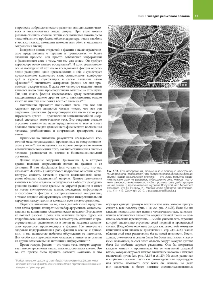 Anatomiczne pociągi — zdjęcie 15