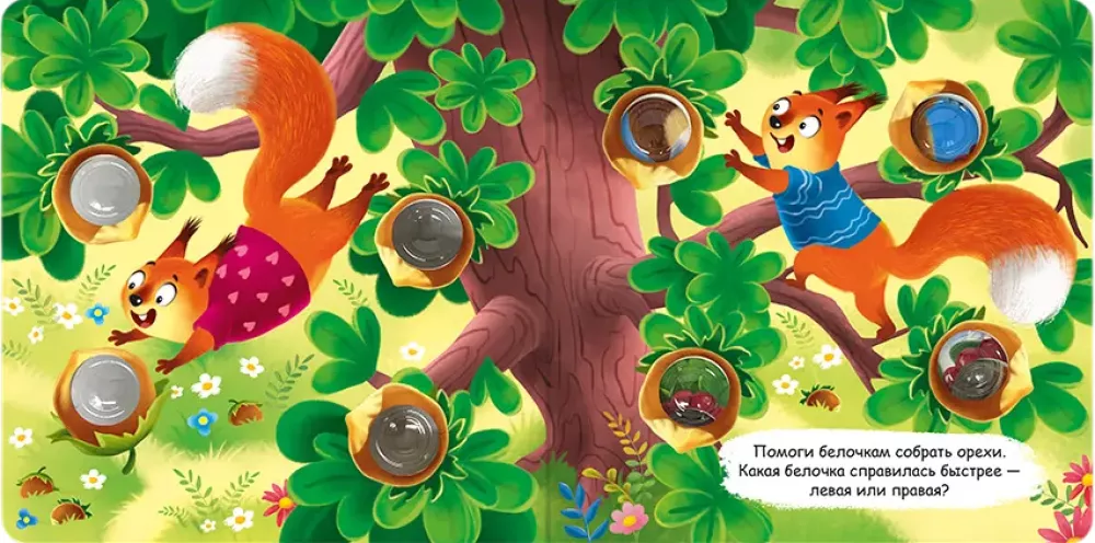 Forest Animals
