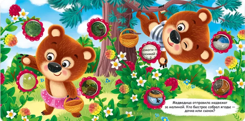 Forest Animals