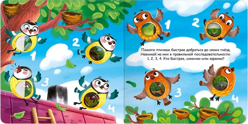 Forest Animals