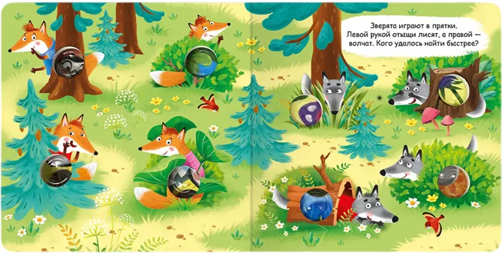 Forest Animals
