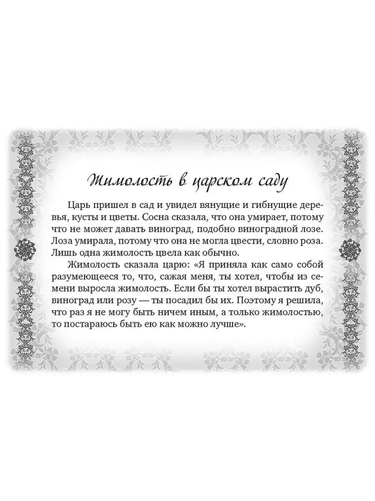 Steps to Wisdom
