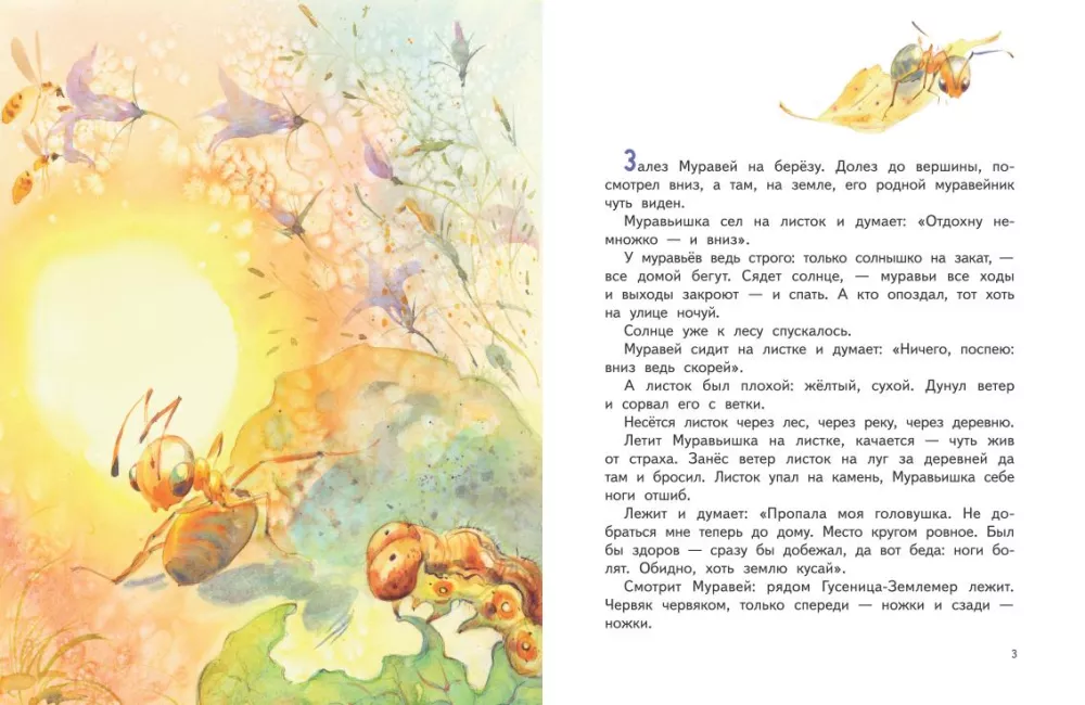Kā skudriņa steidzās mājās