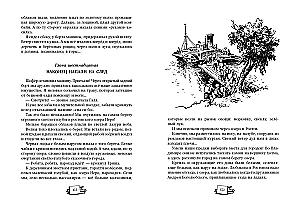 Par bērzu grāmatām