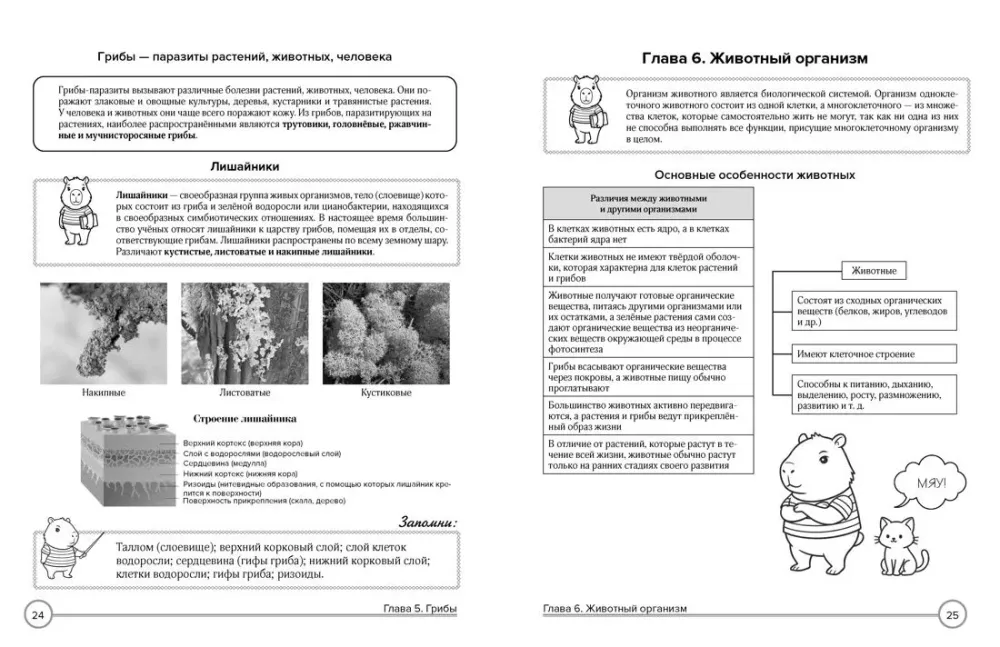 Bioloogia tabelites ja koomiksites