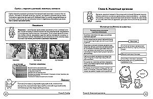 Bioloogia tabelites ja koomiksites