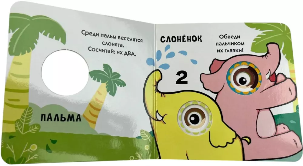 Ielūkojies logā! Cipari — foto 4