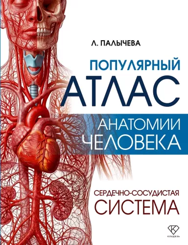 Popular Atlas of Human Anatomy. Cardiovascular System