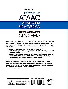 Popular Atlas of Human Anatomy. Cardiovascular System