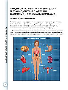 Popular Atlas of Human Anatomy. Cardiovascular System