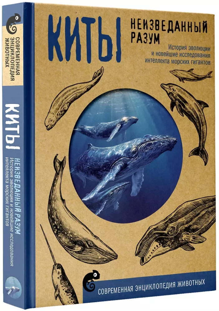 Whales. The Unexplored Mind. The History of Evolution and Recent Research on the Intelligence of Marine Giants
