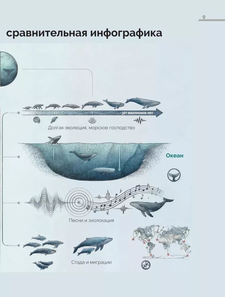 Whales. The Unexplored Mind. The History of Evolution and Recent Research on the Intelligence of Marine Giants